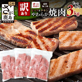 【ふるさと納税】【訳あり】発送時期が選べる ビーフ & チキン やわらか 焼肉 1kg×3袋 計3kg ふるさと納税 ハム 焼肉 豚肉 鶏肉 加工肉 お弁当 おかず 人気 送料無料 大容量 わけあり B-613