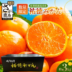 【ふるさと納税】【数量限定】祐徳みかん 約3kg 化粧箱入り《10月下旬〜12月頃発送予定》| ブランド 温州みかん 希少 高級 フルーツ 果物 ギフト 贈答 ミカン 蜜柑 柑橘 くだもの 果実 国産 九州 佐賀県 鹿島市 ふるさと 人気 送料無料 B-100