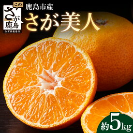 【ふるさと納税】さが美人 温州みかん 約5kg｜ふるさと納税 みかん 佐賀県鹿島市産 ブランドみかん 贈答用 ギフト フルーツ 果物 くだもの 蜜柑 柑橘 高級 国産 ふるさと 送料無料 人気 お取り寄せ B-67