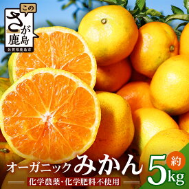 【ふるさと納税】【先行受付】オーガニック みかん 約5kg 《11月頃〜12月頃発送予定》＼有機柑橘栽培・出荷量日本一／| 温州みかん 5kg ミカン 蜜柑 果物 フルーツ くだもの 果実 ふるさと 人気 おすすめ 国産 九州 有機栽培 佐賀産 佐賀県 鹿島市 送料無料 B-70