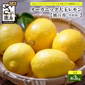 yӂ邳Ɣ[ŁzY I[KjbNʃ (̍) 3kg  EG   َq   T[  SS ꌧ s ӂ邳 lC  B-879