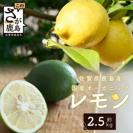 【ふるさと納税】オーガニック レモン【 2.5kg】レモン 檸檬 れもん 宝韶寿レモン 料理 菓子 お酒 生搾り サワー 薬味 安心安全 佐賀県 鹿島市 ふるさと 人気 送料無料 B-91