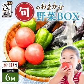 【ふるさと納税】【選べる開始月・サイクル】野菜 定期便 6回 8~10品目 旬のおまかせ野菜セット 6ヶ月 | ふるさと納税 野菜 定期便 野菜セット 詰め合わせ 定期 半年 旬 定番 新鮮 産地直送 大容量 ふるさと 佐賀県 鹿島市 人気 送料無料 E-72