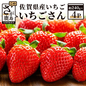 【ふるさと納税】予約受付 佐賀県産 いちご いちごさん 480g or 960g （約240g×2 or 4パック） | ふるさと納税 いちご イチゴ 苺 果物 フルーツ 旬 贈答用 お取り寄せ ギフト ふるさと 人気 佐賀県 鹿島市 送料無料 B-465