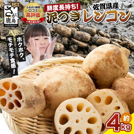 【ふるさと納税】★4.3 予約受付 佐賀県産 れんこん 約4kg 新鮮 野菜 鮮度長持ち 泥つき 蓮根 | ふるさと納税 野菜 やさい レンコン れんこん 蓮根 根菜 国産 佐賀県 鹿島市 ふるさと 人気 送料無料 A-169