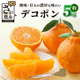 【ふるさと納税】《予約受付》デコポン 5kg | ふるさと納税 みかん 高級 デコポン 蜜柑 柑橘 不知火 しらぬい 果物 フルーツ くだもの 果実 ブランド ギフト 贈り物 贈答用 国産 九州 佐賀県産 佐賀県 鹿島市 ふるさと 人気 送料無料 B-672