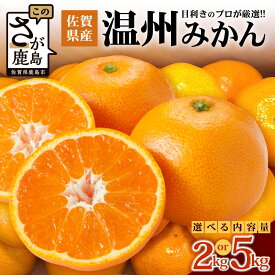 【ふるさと納税】《予約受付》佐賀県産みかん 約2kg〜5kg 目利きのプロが厳選《2025年11月～2026年2月頃発送予定》 | ふるさと納税 みかん 少量 温州みかん フルーツ 果物 くだもの 果実 蜜柑 柑橘 ミカン ギフト 贈物 プレゼント 贈答 ふるさと 人気 九州 送料無料 B-673
