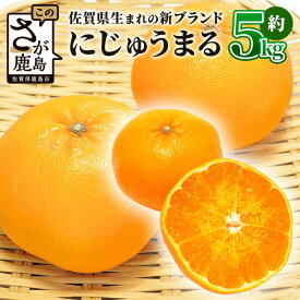 【ふるさと納税】《予約受付》新ブランドみかん にじゅうまる 約5kg《2026年3月頃発送予定》| ふるさと納税 みかん 5kg 柑橘 フルーツ 果物 ジューシー 貯蔵 中晩柑 高級 ブランド 希少 贈り物 贈答 プレゼント ギフト ふるさと 人気 国産 九州 送料無料 佐賀県 鹿島市 F-55
