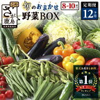 【定期便】 野菜 定期便 旬の おまかせ 野菜 BOX 12回 8~10品目 | ふるさと納税 野菜 定期便 定期 やさい 野菜 セット 詰め合わせ 旬 新鮮 産地直送 大容量 ふるさと 佐賀県 鹿島市 人気 送料無料 H-13