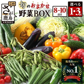 【ふるさと納税】【開始月が選べる】旬のおまかせ野菜セット 1回 or 3回 8~10品目 野菜 定期便 | ふるさと納税 野菜 定期便 野菜セット 詰め合わせ 定期 お試し 旬 定番 新鮮 産地直送 大容量 ふるさと 九州 佐賀県 鹿島市 人気 送料無料 C-47