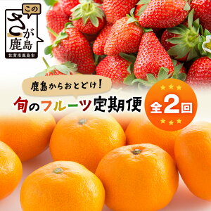 yӂ邳Ɣ[Łzy 2z炨͂t[c l(݂)5kgE240g×4pbNb ӂ邳Ɣ[ t[c ʕ   l   