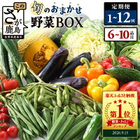高リピート率 ＼累計発送28万箱突破／お試し登場！月2回配送が選べる定期便...