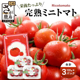 【ふるさと納税】【先行受付】2027年1月より順次発送予定|【少量パック】完熟ミニトマト6種 360g（120g×3）【定期便1～4回】｜プチトマト 野菜 農家直送 ギフト 人気｜佐賀県鹿島市｜たにぐちファーム Ricotomato（リコトマト）～とりこになるトマト～ A-212