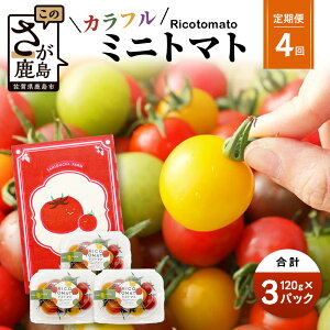 �y�ӂ邳�Ɣ[�Łz��s�\��b�~�j�g�}�g ����120g×3P�y�����1�`4��z�b�J���t�� �~�j�g�}�g�bJGAP�F�؁E���ꌧ���ʍ͔|�_�Y���b�L�@��100���̓y�Â���b�_�ƒ��� �t���[�c�g�}�g �M�t�g�E��