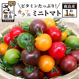 【ふるさと納税】 【先行予約】 たにぐちファーム カラフルミニトマト 1kg Ricotomato とりこになるトマト 野菜 とまと トマト リコピン 佐賀産 佐賀県 鹿島市 B-280