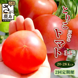 yӂ邳Ɣ[Łzys\zyzJnIׂzy2ցz ɂt@[ Ƃ肱ɂȂg}g 3.5kgȏy2025N12oׁz Ricotomato g}g  Ƃ܂ g}g Rs { 