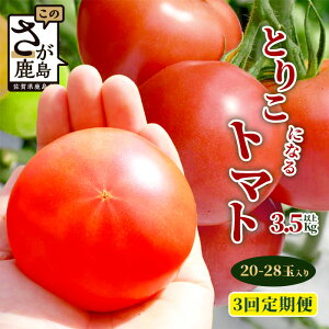 yӂ邳Ɣ[Łzys\zyzJnIׂzy3ցz ɂt@[ Ƃ肱ɂȂg}g3.5kgȏy2025N12oׁz Ricotomato g}gb ؒ   g