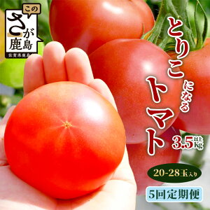yӂ邳Ɣ[Łzys\zy5ցzɂt@[ Ƃ肱ɂȂg}g 3.5kgȏy2025N12oׁz Ricotomato Ƃ肱ɂȂg}g  Ƃ܂ g}g Rs Y ꌧ 