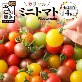 【ふるさと納税】【先行予約】 【4回定期便】【2026年1月より発送開始】カラフルミニトマト Ricotomato 1kg 月1回 年4回 合計4kg とまと 野菜 トマト 佐賀産 佐賀県 鹿島市 送料無料 F-25