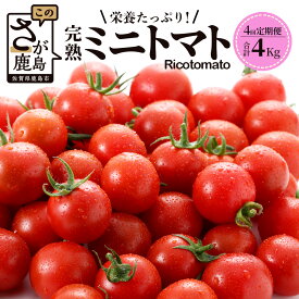 【ふるさと納税】【先行予約】【4回定期便】【2026年1月より発送開始】完熟 ミニトマト Ricotomato 1kg 月1回 年4回 合計4kg 野菜 とまと トマト 佐賀産 佐賀県 鹿島市 送料無料 F-32