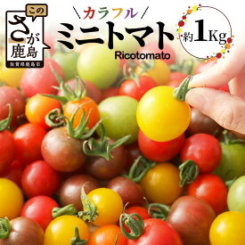 【ふるさと納税】 【先行予約】【2025年12月中旬より順次発送】 たにぐちファーム カラフルミニトマト 1kg Ricotomato とりこになるトマト 野菜 とまと トマト リコピン 佐賀産 佐賀県 鹿島市 B-280