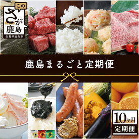 【ふるさと納税】【10ヶ月定期便】 鹿島まるごと定期便 佐賀海苔 佐賀産和牛 夢しずく(米） 海鮮しゅうまい 黒毛和牛 ジェラート 佃煮 芳寿豚 野菜 果物 海苔 定期便 合計10回発送 10ヶ月 みかん 佐賀 牛肉 佐賀県 鹿島市 春 夏 秋 冬 送料無料 L-12