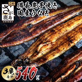 【ふるさと納税】★5.0 大正7年創業 うなぎ 国産 鰻 蒲焼き 3尾 計540〜600g 大サイズ タレ付 峰松うなぎ | ふるさと納税 うなぎ 国産鰻 ウナギ 蒲焼 密封パック 箱入り 贈答 備長炭 手焼き 肉厚 惣菜 土用の丑の日 ふるさと 人気 佐賀県 鹿島市 冷蔵発送 送料無料 E-5