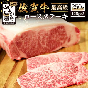 yӂ邳Ɣ[Łzō ꋍ [XXe[L v250g 125g×2 a    Xe[L ꌧ s Ⓚ  J lC   ґ  C-92