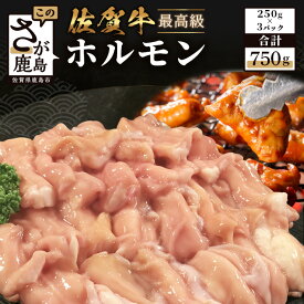 【ふるさと納税】佐賀牛 ホルモン 合計750g 250g×3パック 佐賀和牛 肉 牛肉 和牛 佐賀 牛肉 お取り寄せ 佐賀県 鹿島市 冷凍 送料無料 B-557