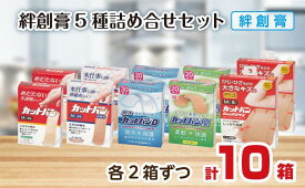 【ふるさと納税】救急絆創膏 5種貼り比べセット 各2セット 計10箱 B-785