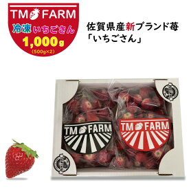 【ふるさと納税】加工用冷凍 苺 佐賀ブランドいちごの（いちごさん）1kg（1,000g） TMファーム