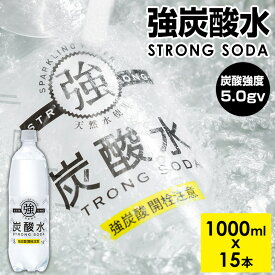 【ふるさと納税】強炭酸水 1000ml (1Lx15本) 常温 送料無料 天然水1リットル 強い ストロング スパークリング ウォーター 友桝飲料 ハイボール ソーダ 割り材 水・ミネラルウォーター 炭酸飲料 ペットボトル 送料無料 人気 ランキング 高評価 【A070-026】