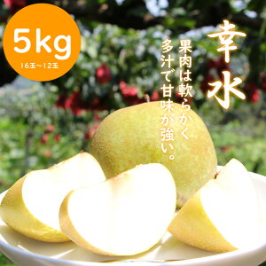 yӂ邳Ɣ[Łzys\z iR8N7{蔭\j i K j5kgiق̋j  ݂݂ ʎ ʕ yB150-029z