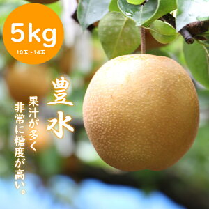 �y�ӂ邳�Ɣ[�Łz�y��s�\��z �iR8�N8�����{�����\��j�������ė��i �L�� �j5kg�i�ق���̋��������j �������� �ʎ� �ʕ� �������� �t���[�c �yB150-030�z