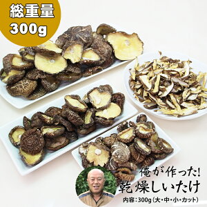 yӂ邳Ɣ[Łz̍   iTCYEEEJbgj 300g ő yB110-038z