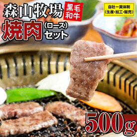 【ふるさと納税】豪快精肉店！森山牧場 焼肉セット（500g） 佐賀和牛 牛肉 黒毛和牛 お肉 ジューシー 国産 霜降り 九州産 送料無料 ブランド牛 焼肉 人気 ランキング 高評価 牛肉