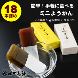 【ふるさと納税】 お手軽に！ひとくちサイズの ミニ羊羹セット（50g×18本） 山田老舗 和菓子 ミニサイズ 贈答 プレゼント 贈り物 父の日 母の日 敬老の日 詰め合わせ 一口サイズ スポーツ お茶 送料無料 【B105-003】