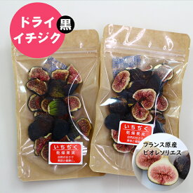 【ふるさと納税】ドライ黒イチジク（フランス原産 ビオレソリエス）無花果（50g×2パック）ドライフルーツ　採れたて 佐賀県産 送料無料 【A085-004】