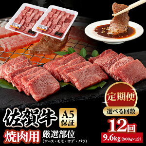 yӂ邳Ɣ[Łzyցz ꋍ A5 ēp I 800g 3`12 uh јa B   Iׂ A5uh ؂ Ă ₫ɂ lC LO ] 