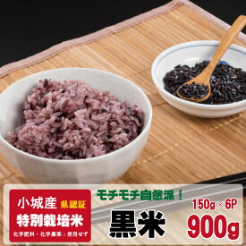 【ふるさと納税】 モチモチ 自然派食・特別栽培認定 「 黒米 」150g×6個 【B115-006】