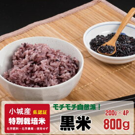【ふるさと納税】 【新米予約】R8年産 12配送開始 モチモチ 自然派食・特別栽培米 古代玄米「 黒米 」200g x 4パック 【B120-090】