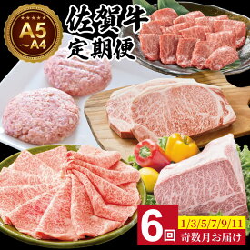 【ふるさと納税】【定期便】(6回お届け) 佐賀牛 お肉の定期便 A5〜A4 ブランド牛 ステーキ しゃぶしゃぶ スライス ハンバーグ 焼肉 ブロック セット 人気 ランキング 高評価 牛肉 高額 高額寄附 国産 佐賀県産 黒毛和牛 送料無料　【Q132-002】