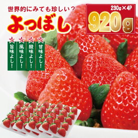 【ふるさと納税】【先行予約令和8年1月配送開始】いちご 「 よつぼし 」『230g×2パック（460g）、230g×4パック（920g）』 選べる 農家直送品 しもむら農園 果物 くだもの フルーツ 人気 ランキング 高評価 苺 イチゴ 【A075-018】