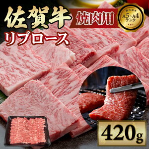 yӂ邳Ɣ[Łz ꋍ u[X ē 420g  ꋍ ē o[xL[ Y BBQ  uh BY  A5`A4 uh lC LO ]  Y ꌧY јa