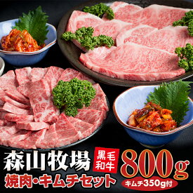 【ふるさと納税】 森山牧場産 焼き肉（800g）＆キムチ（2種類）セット 佐賀和牛 牛肉 焼肉セット 黒毛和牛 お肉 肉 ジューシー 国産 霜降り 九州産 送料無料 ブランド牛 ステーキ 焼肉 ブロック セット 人気 ランキング 高評価 牛肉 【D400-005】