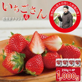 【ふるさと納税】【先行予約令和8年1月配送開始】「 いちごさん 」 佐賀ブランド 苺（250g×4セット）なかはら農園 農家 直送品 果物 くだもの フルーツ 人気 ランキング 高評価 苺 イチゴ 【B130-030】