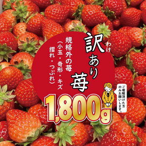 ys\ߘa8N2zJnzyӂ邳Ɣ[Łzy󂠂z  i1.800gjӂ邩_  C`S   i{[z Hip yB130-056z