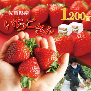 yӂ邳Ɣ[Łzys\ߘa8N2zJnz i600gE900gE1200gj ӂ邩_ _ i ʕ  t[c lC LO ] Iׂ  C`S   