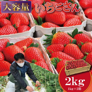 ys\ߘa8N2zJnzyӂ邳Ɣ[Łz e  1kg×2i2,000gjӂ邩_ C`S 咆 TCY Di   i{[z Hip yB190-008z