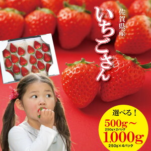 yӂ邳Ɣ[Łzys\ߘa8N1zJnzu  v uh 䕁iv500gE1000g j1pbNi250gjIׂ zX _ i ʕ  t[c lC LO ]